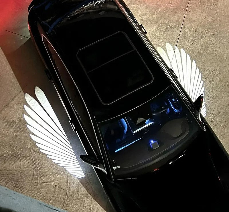 Wings Of Valhalla